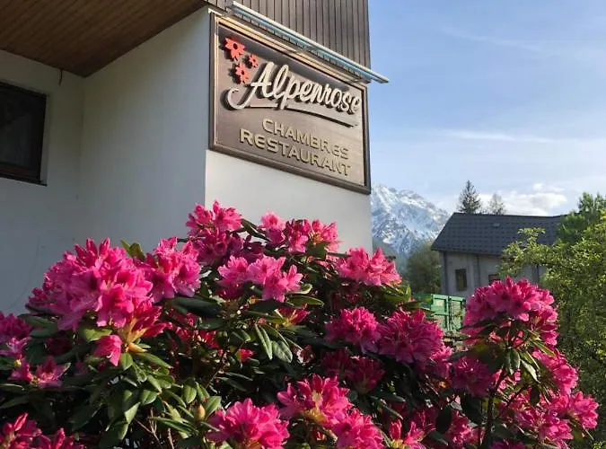 بيت شباب Alpenrose