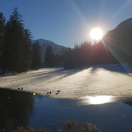Alpenrose *
