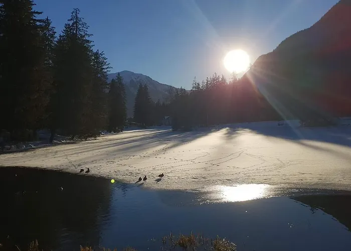 Alpenrose *