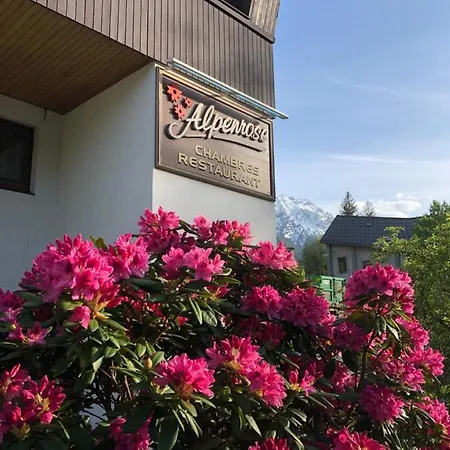 Auberge de jeunesse Alpenrose